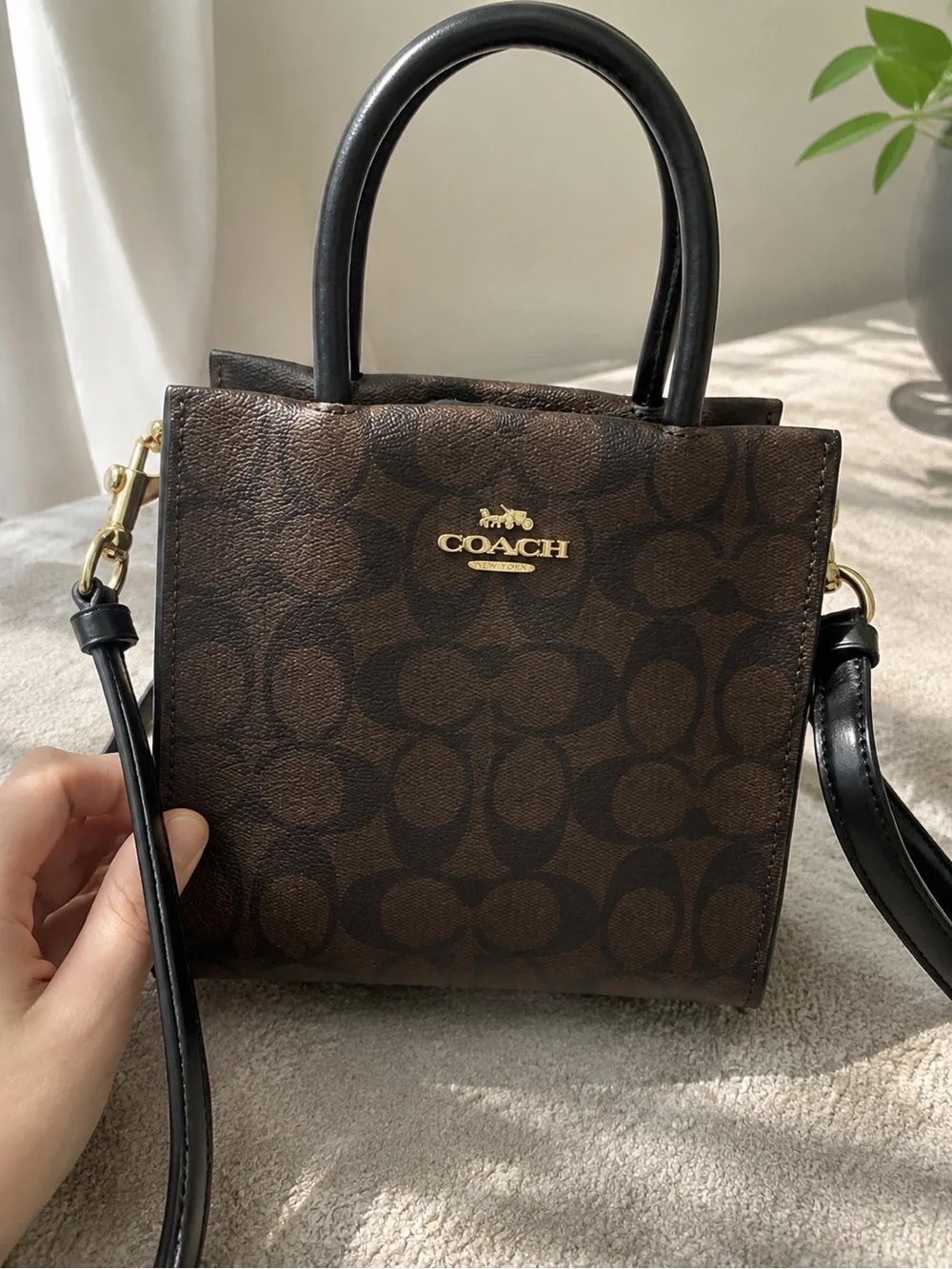 Coach Mini Tote in Brown with Black Trim